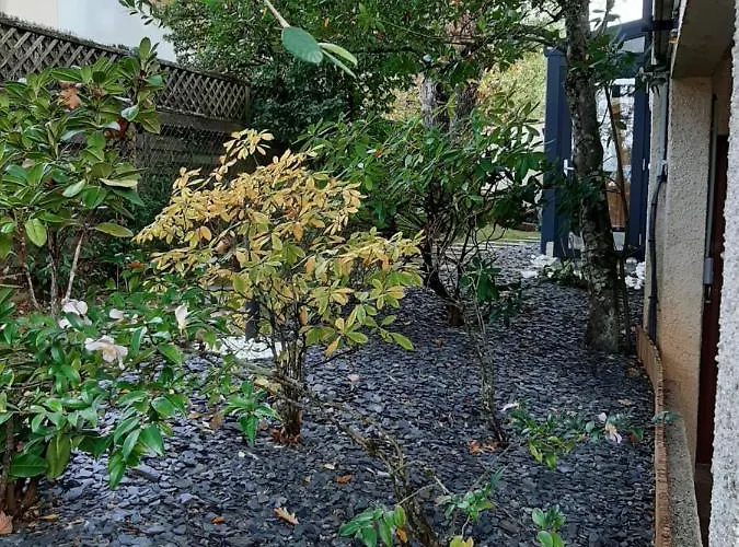 Sakura فندق مبيت وإفطار