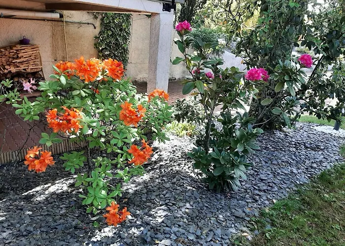 فندق مبيت وإفطار Sakura